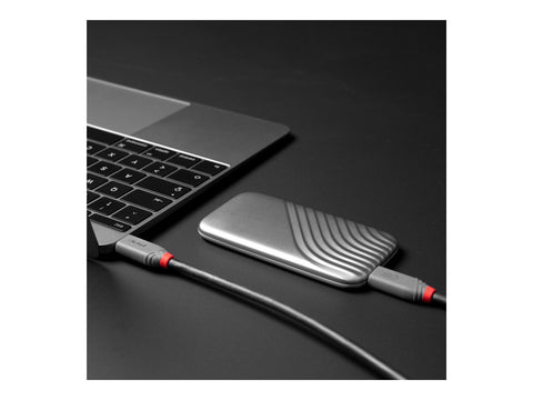 LINDY 0.8m USB 4 240W Type C Cable Anthra Line