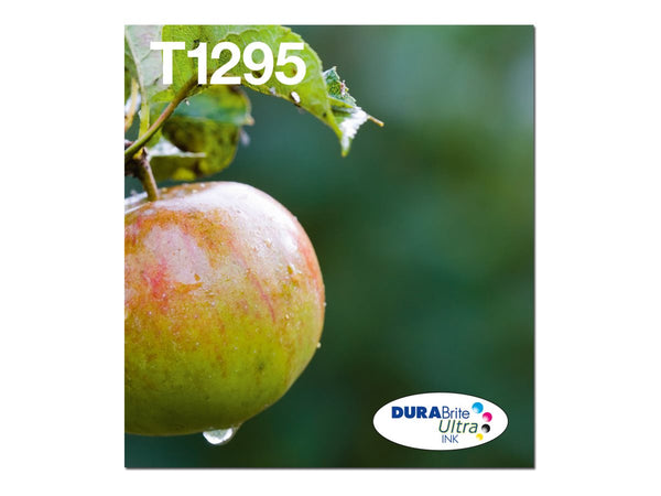 EPSON 2LB T129 Durabrite Ultra Ink EasyMail multipack