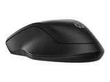 HP 255 Dual Wireless Mouse (EN)