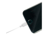 LINDY 3m USB to Lightning Cable white Charge and sync Cable for iPhone iPad & iPod