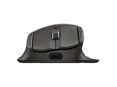 HP Ultra-Fast Scroll Wireless Mouse 785M