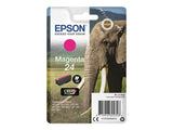 EPSON 1LB 24 ink cartridge magenta standard capacity 4.6ml 360 pages 1-pack RF-AM blister w/s