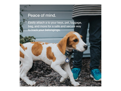 BELKIN Airtag Protection avec porte-clés Bleu