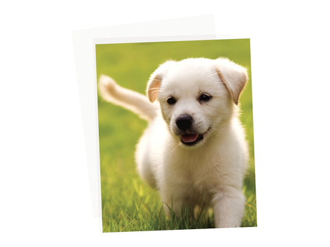 FELLOWES APEX POCHETTES A4  80 MIC 100PK