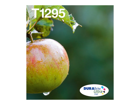 EPSON 2LB T129 Durabrite Ultra Ink EasyMail multipack