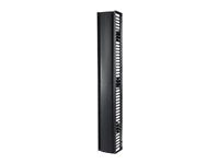 APC Valueline Vertical Cable Manager for 2 and 4 Post Racks 84p X 12p Single-Sided with Door