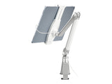 NEOMOUNTS TABLET-D100SILVER Porte-tablette à pince pour bureau 4.7-12.9p - universel - orientable