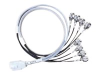 CISCO 8-Port Smart Antenna Connector to N-Type connectors 3ft