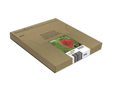 EPSON 1LB Multipack 4-colours 29XL EasyMail