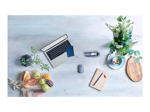 LOGITECH M171 Mouse right and left-handed optical 3 buttons wireless 2.4 GHz USB wireless receiver blue/grey