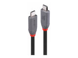 LINDY 0.8m USB 4 240W Type C Cable Anthra Line