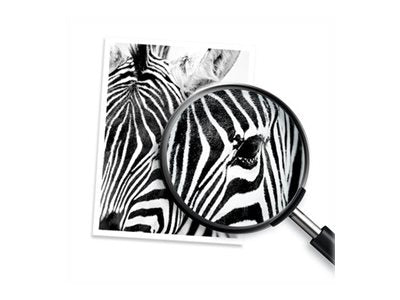 HP 933 Cyan Original Ink Cartridge