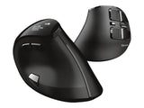 TRUST Souris sans fil ergonomique VOXX Rechargeable - Noire