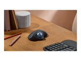 LOGITECH ERGO M575S Wireless Trackball - Graphite + Blue Ball