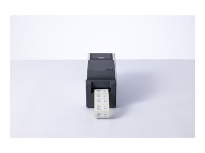 BROTHER 2p label printer USB connection 203dpi Ethernet battery possible