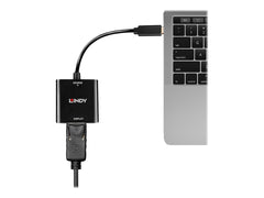 LINDY USB Type C to DisplayPort Converter