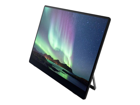 RICOH 15.6p 169 1920x1080 OLED 1ms 1000001 10-point Multi-Touch USB-C Powered Ultra-Lightweight Portable Monitor