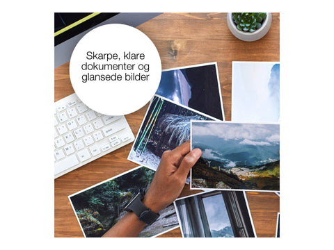 EPSON 1LB Multipack 4-colours 29 Claria Home Ink Blister without alarm