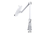 NEOMOUNTS TABLET-D100SILVER Porte-tablette à pince pour bureau 4.7-12.9p - universel - orientable