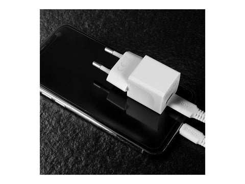 LINDY 20W Type C PD Charger EU Plug