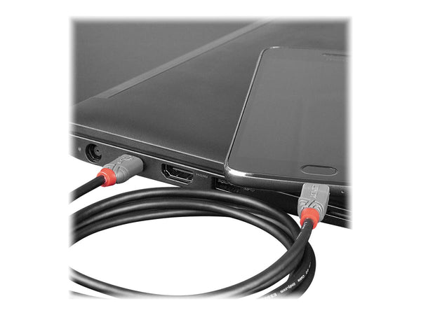 LINDY Câble USB 2.0 Type C vers Micro-B Anthra Line 0.5m