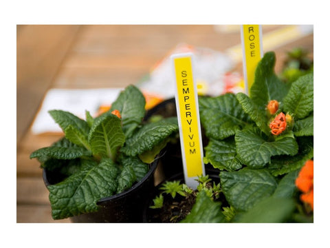 BROTHER Ruban MK631BZ, 12mm Noir sur fond Jaune, Non laminé, 8M