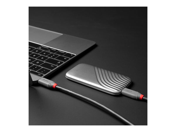 LINDY 1.5m USB 4 240W Type C Cable Anthra Line