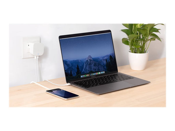 INNERGIE 45H Adaptateur secteur compact 45W - USB-C - 2 Ports Embouts de voyage UE.UK et US inclus