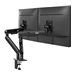 AOC AM420 Dual Monitor Arm - black