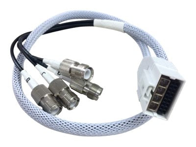 CISCO 2 ft Smart Antenna Connector