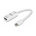 LINDY Adaptateur mini DisplayPort vers