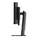 LENOVO ThinkVision P49w-30 49p TS