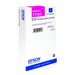 EPSON 5LB T6066 ink cartridge light mag