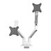 NEOMOUNTS Next One Desk Mount double