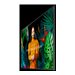 SAMSUNG QB50C 50p UHD 16/7 350nit