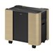 EPSON Mobile A/V Cabinet ELPCS01