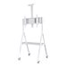 NEOMOUNTS Mobile Flat Screen Floor Stand