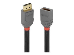 LINDY 0.5m DP Extension Cable Anthra