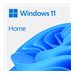 MS ESD Win Home 11 64-bit