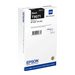 EPSON 5LB T6069 ink cartridge light
