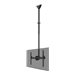 NEOMOUNTS Flat Screen Ceiling Mount