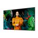 SAMSUNG QM43C 43p UHD 24/7 500nit