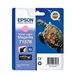 EPSON RUBAN DFX-5000/5000 /8000
