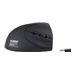 URBAN FACTORY Ergo Souris Sans Fil