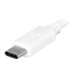 URBAN FACTORY TYPE-C CABLE EXTENSION 1M