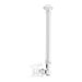 NEOMOUNTS Flatscreen Ceiling Mount