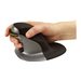 FELLOWES SOURIS VERTICALE AMBIDEXTRE PET