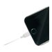LINDY 0.5m USB to Lightning Cable white