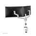 NEOMOUNTS Next Lite Screen Desk Mount