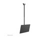 NEOMOUNTS Flat Screen Ceiling Mount